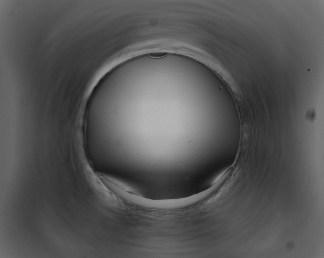 X0000100781530200807171430