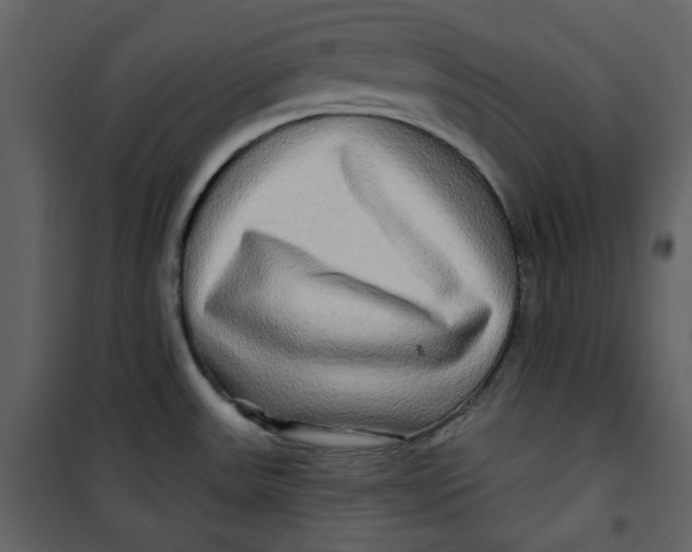 X0000100781531200807171430