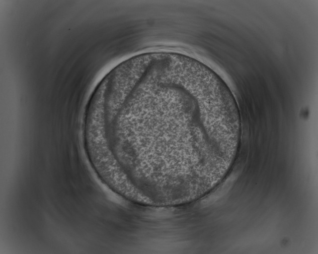 X0000100781533200807171430