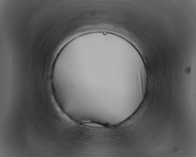 X0000100781534200807171430
