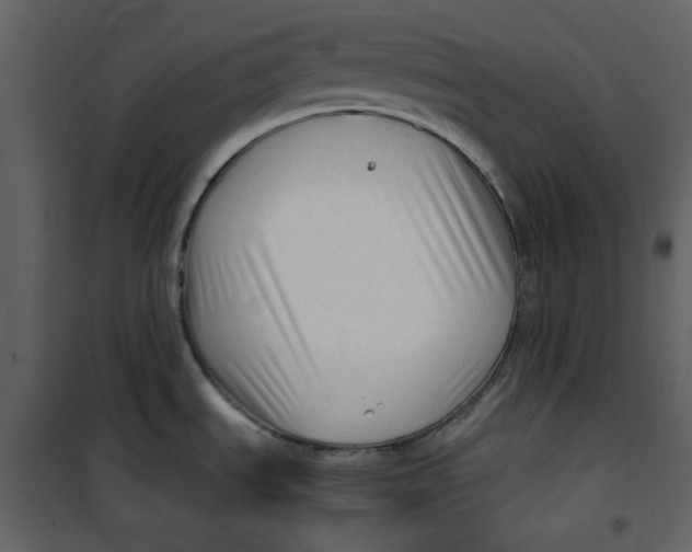 X0000100781535200807171430