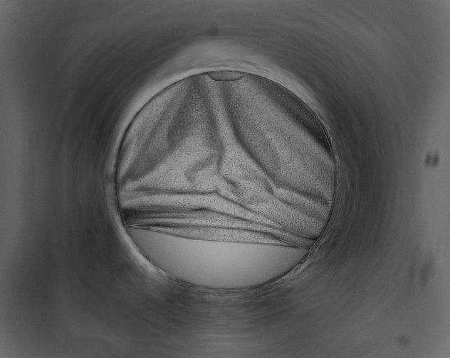 X0000100781536200807171430