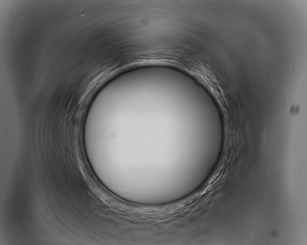 X0000100840001200806200749