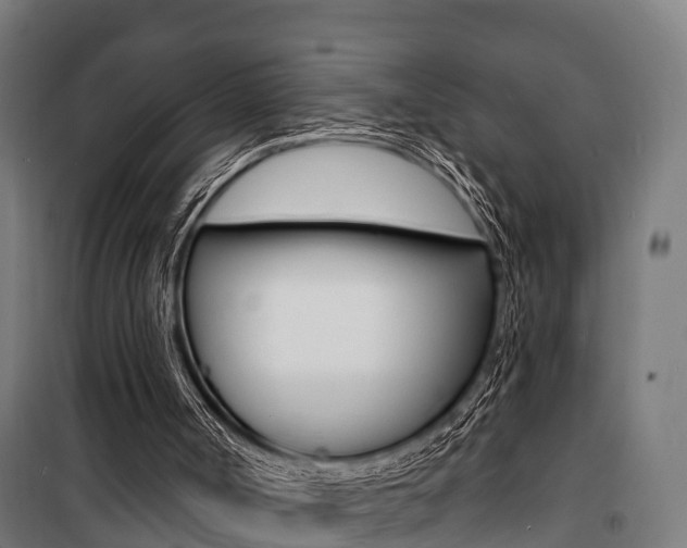 X0000100840002200806200749