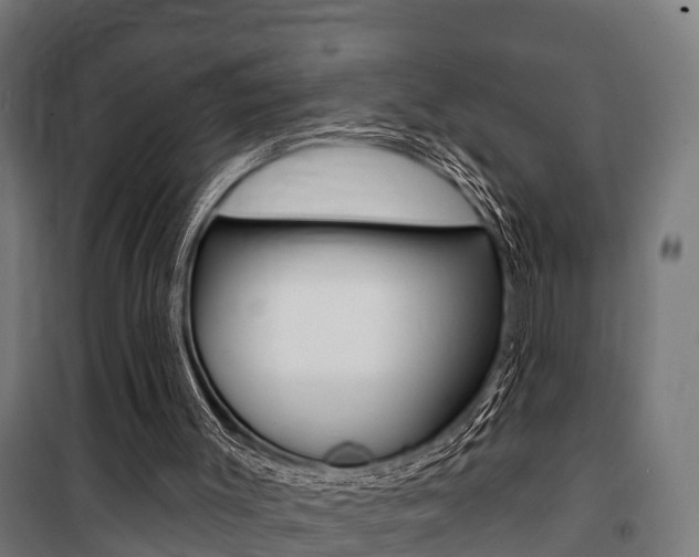 X0000100840003200806200749