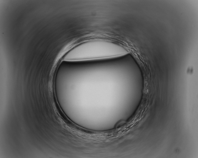 X0000100840004200806200749