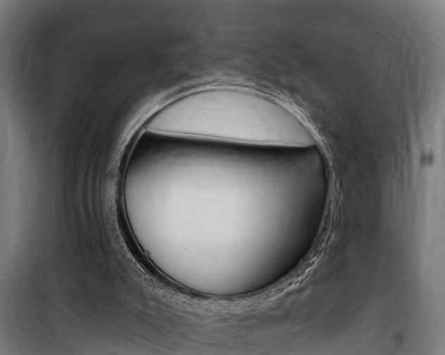 X0000100840007200806200749