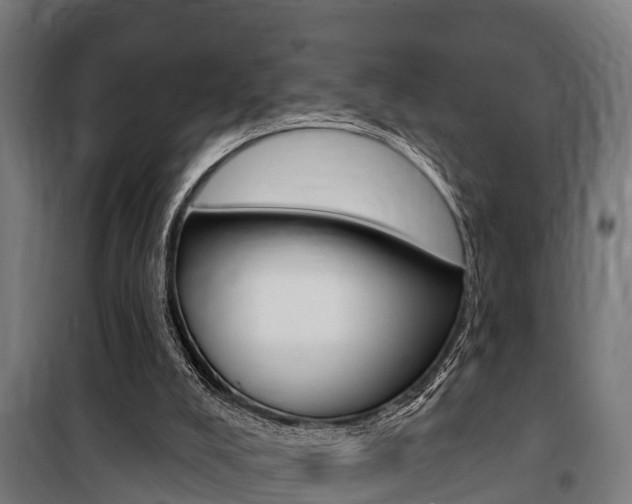 X0000100840008200806200749