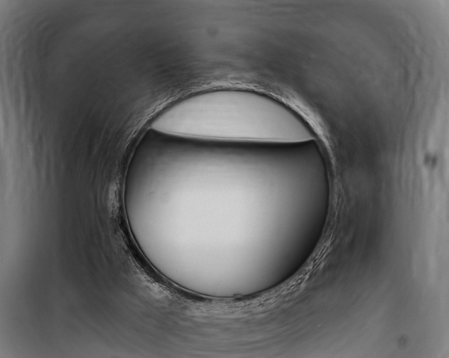 X0000100840009200806200749