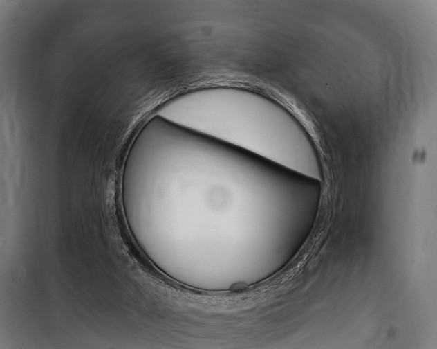 X0000100840010200806200749