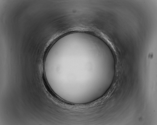 X0000100840011200806200749