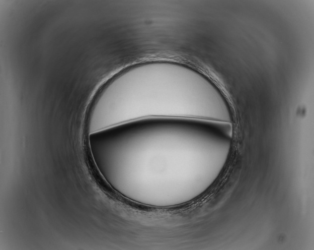 X0000100840012200806200749