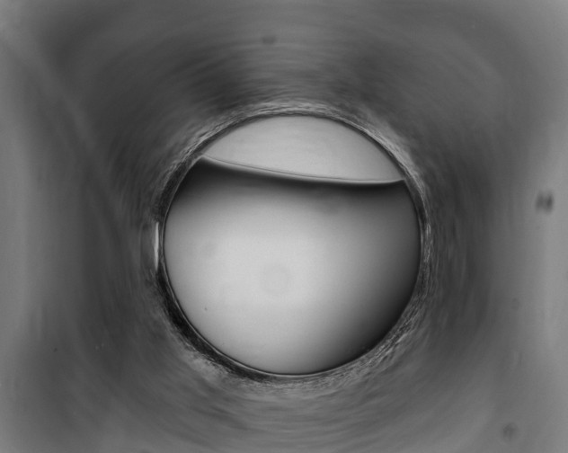 X0000100840013200806200749