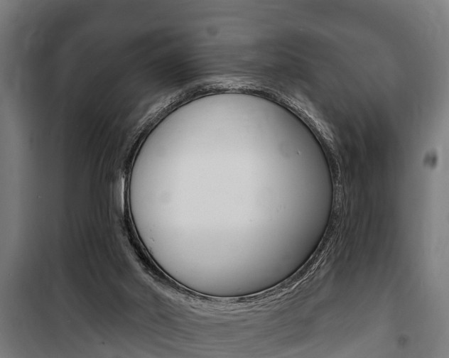 X0000100840014200806200749