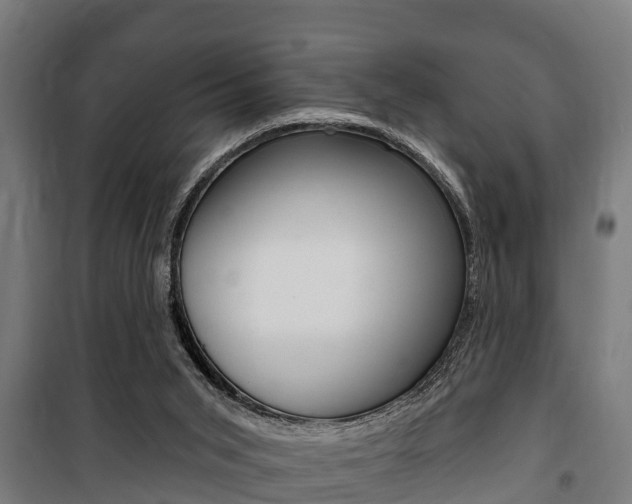 X0000100840015200806200749