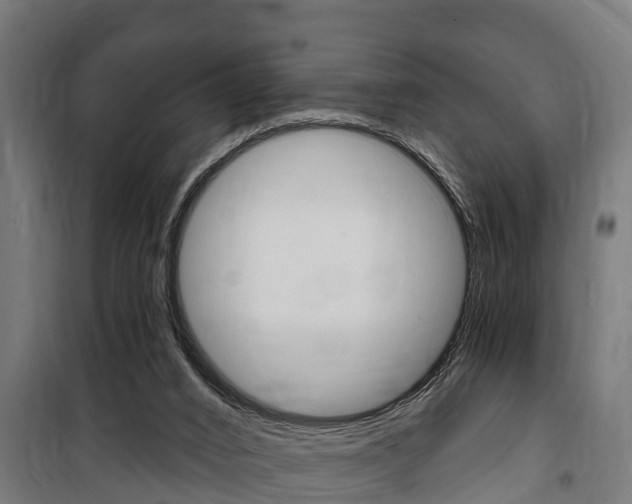 X0000100840016200806200749