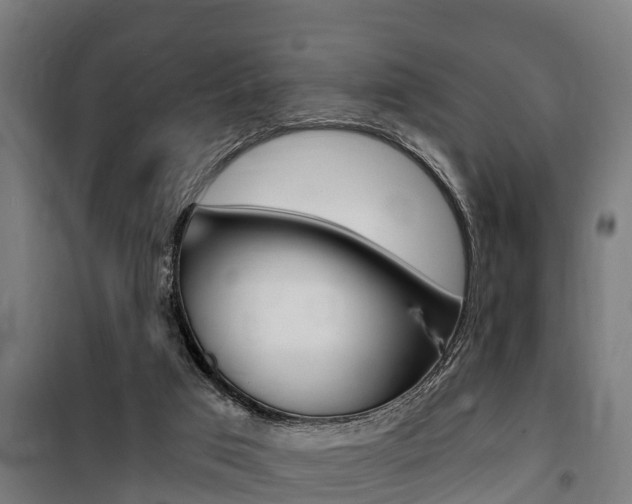 X0000100840017200806200749