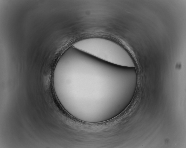 X0000100840018200806200749