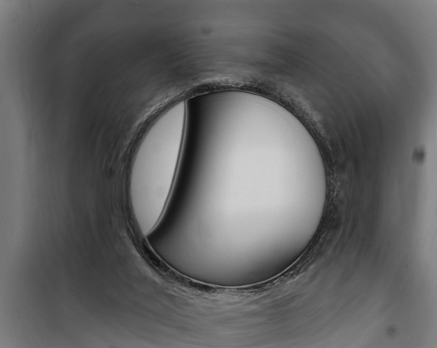 X0000100840020200806200749