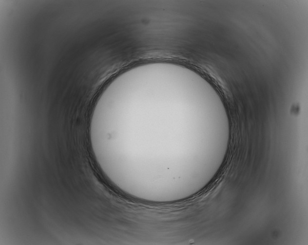 X0000100840024200806200749