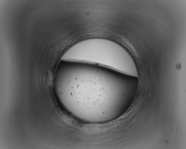 X0000100840025200806200749