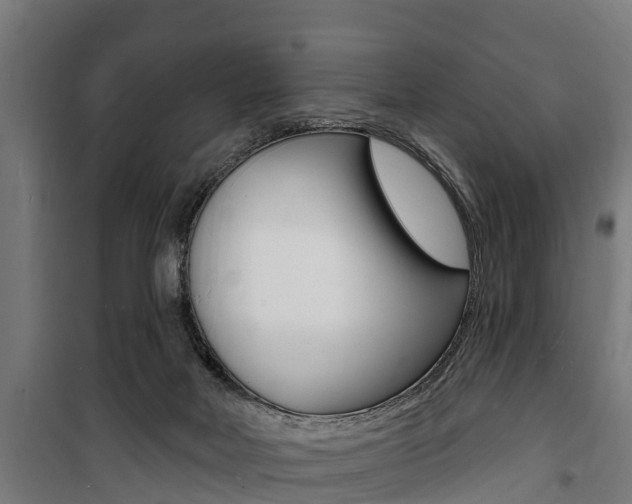 X0000100840026200806200749