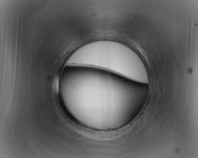 X0000100840027200806200749