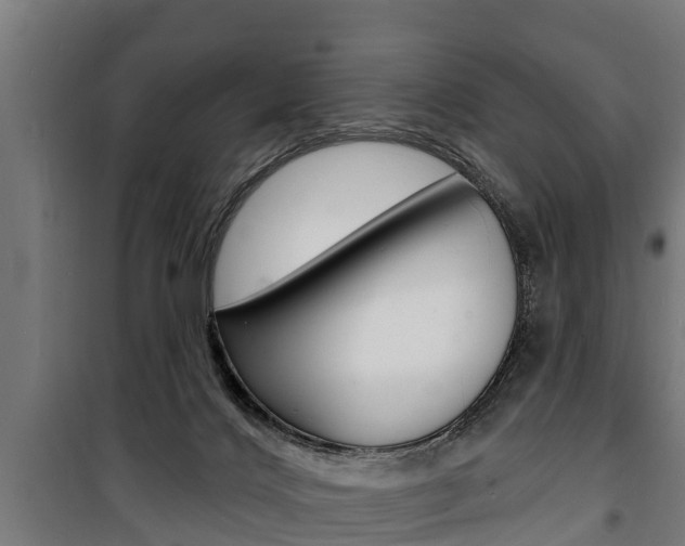 X0000100840028200806200749