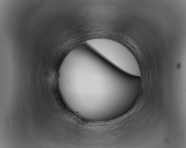 X0000100840029200806200749