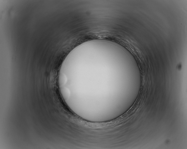 X0000100840030200806200749