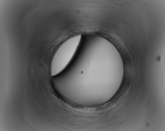 X0000100840032200806200748