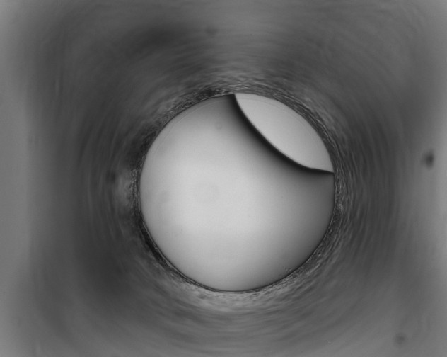 X0000100840034200806200748