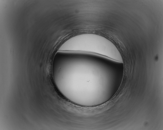 X0000100840035200806200748