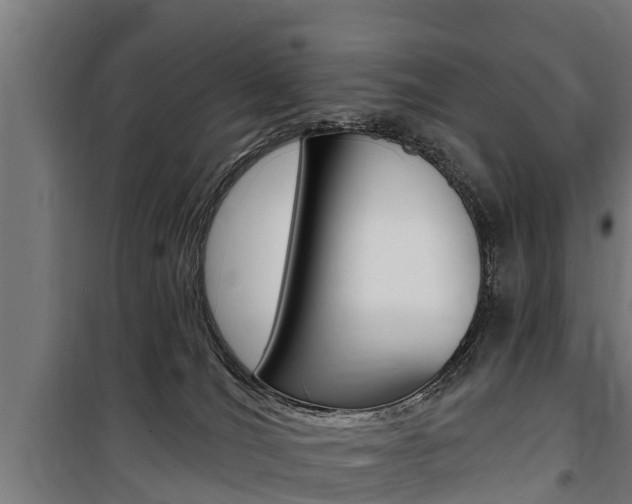 X0000100840036200806200748