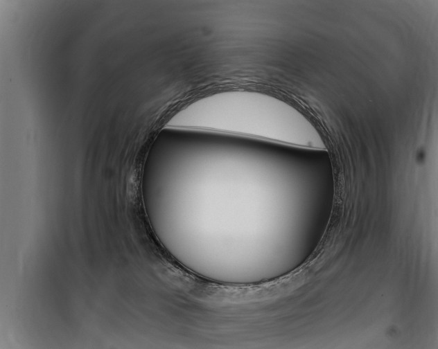 X0000100840037200806200748