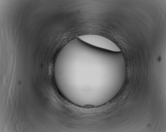 X0000100840038200806200748