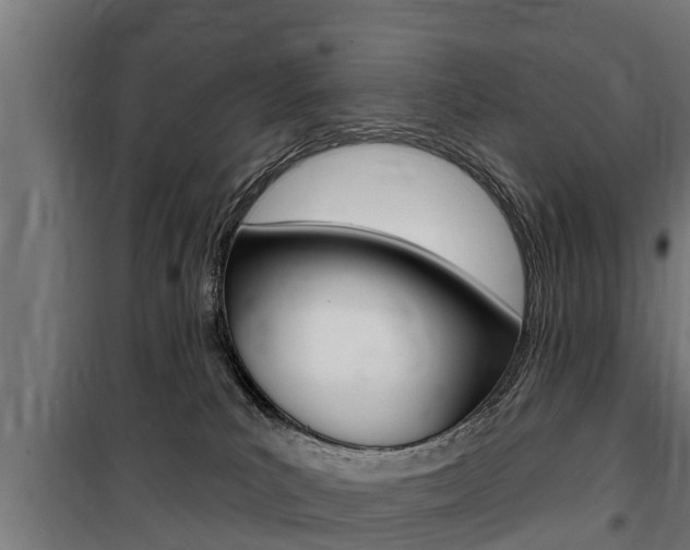 X0000100840039200806200748