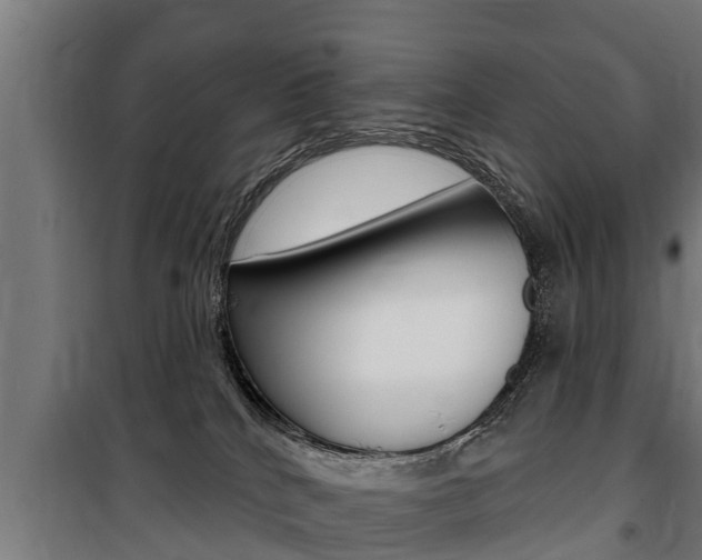 X0000100840040200806200748