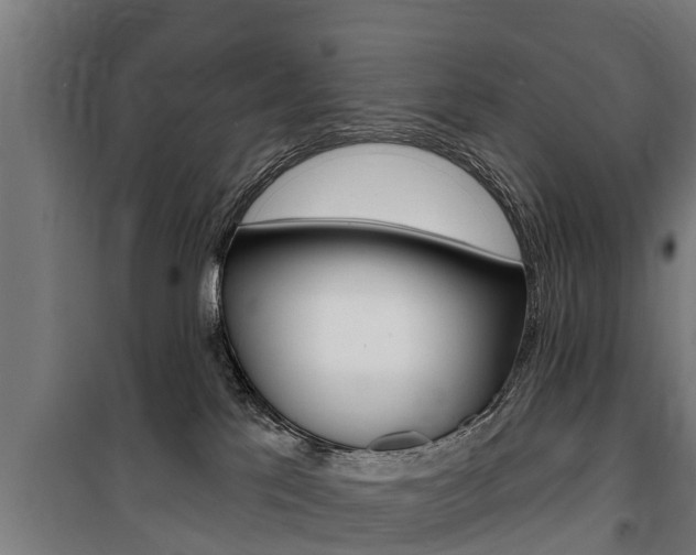 X0000100840041200806200748