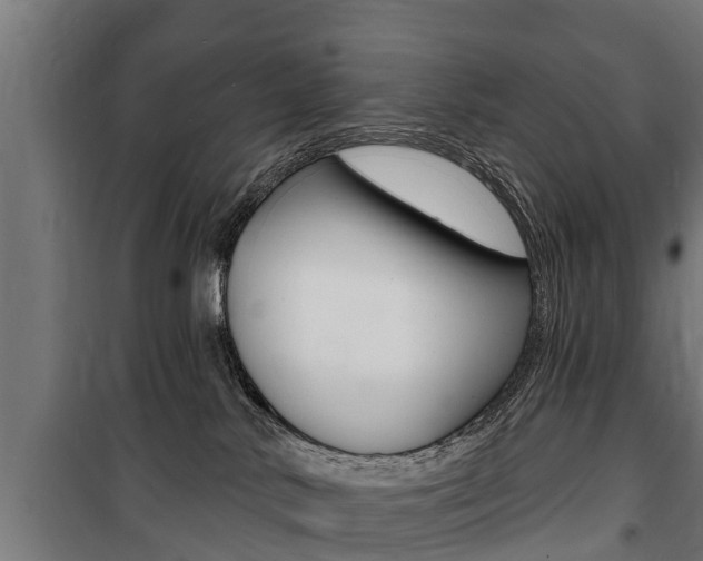 X0000100840042200806200748