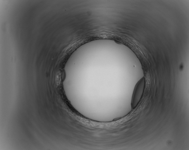 X0000100840043200806200748