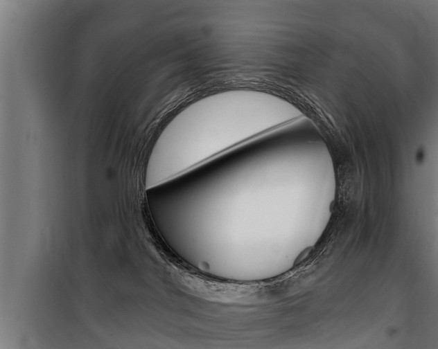 X0000100840044200806200748