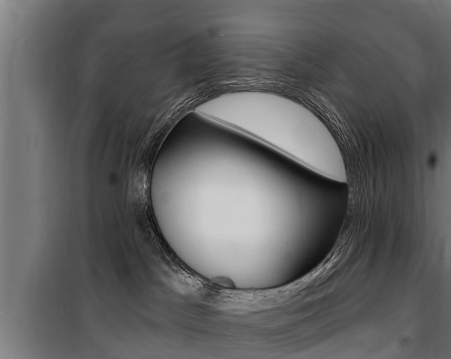 X0000100840045200806200748