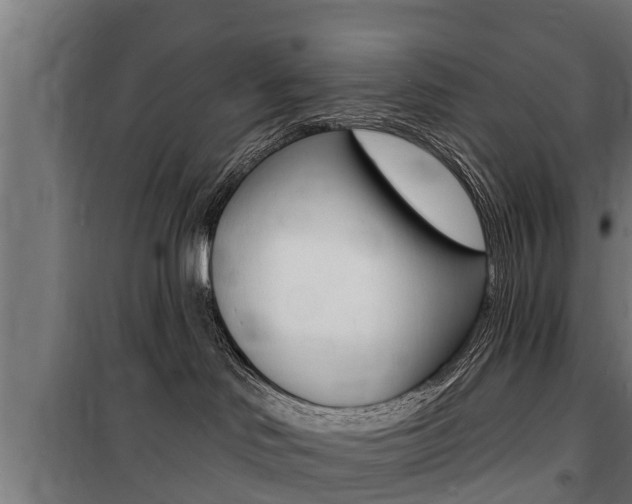 X0000100840046200806200748