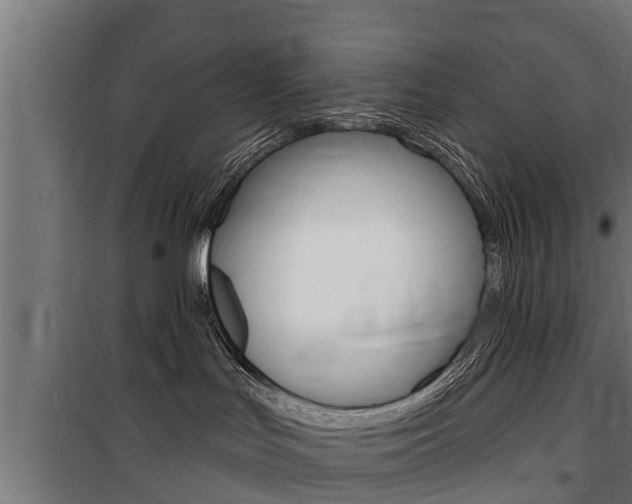 X0000100840047200806200748