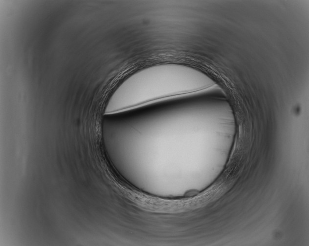 X0000100840048200806200748