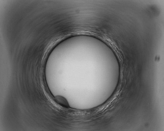 X0000100840049200806200747