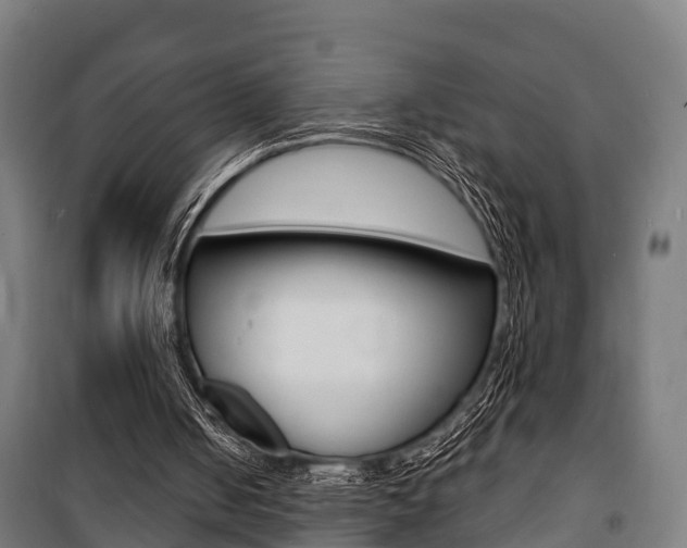 X0000100840050200806200747