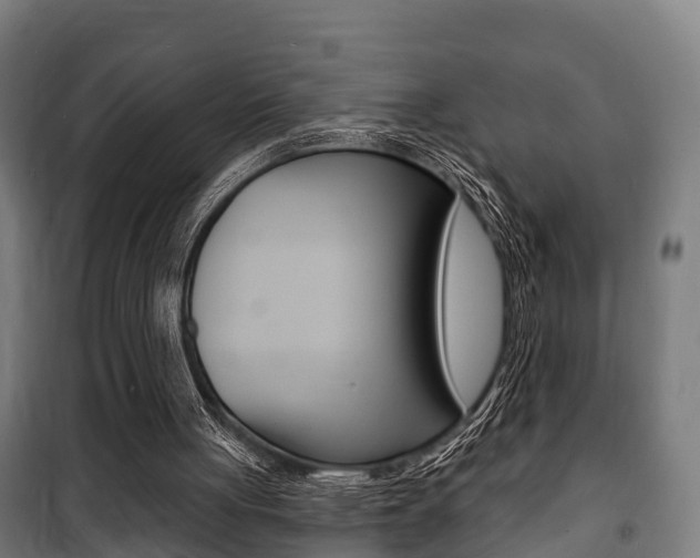 X0000100840051200806200747