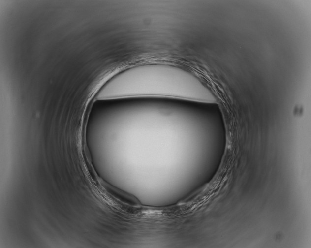 X0000100840052200806200747